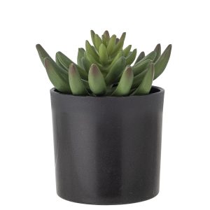 Kunstplant Echeveria