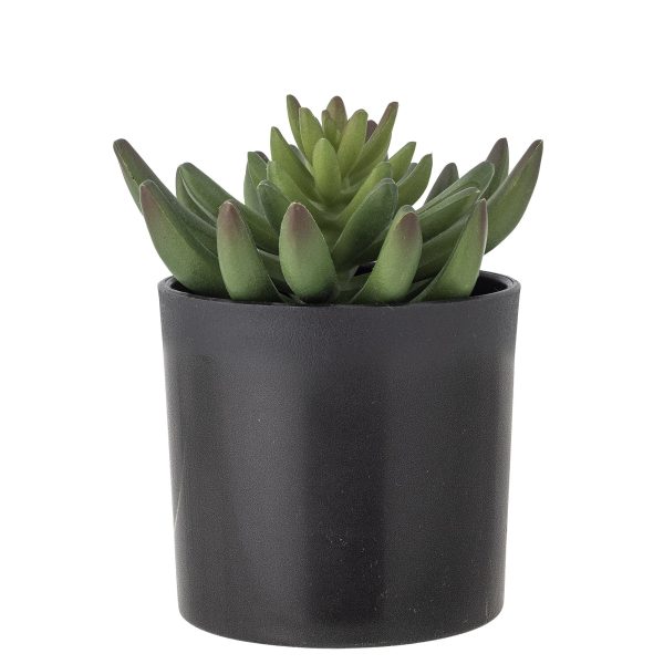 Kunstplant Echeveria