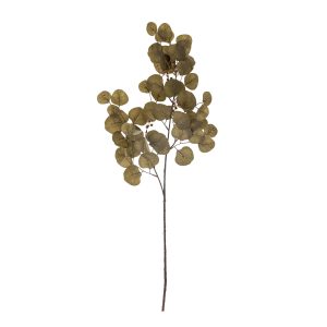 Kunsttak Eucalyptus